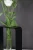 Moderne-Vase-Linea