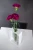 Moderne-Vase-Linea