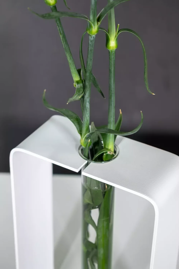 Moderne-Vase-Linea