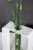 Moderne-Vase-Linea