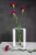 Moderne-Vase-Linea