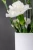 Metallvase-Terra-quadratisch-10x10-cm---Stahlvase-fuer-Trockenblumen