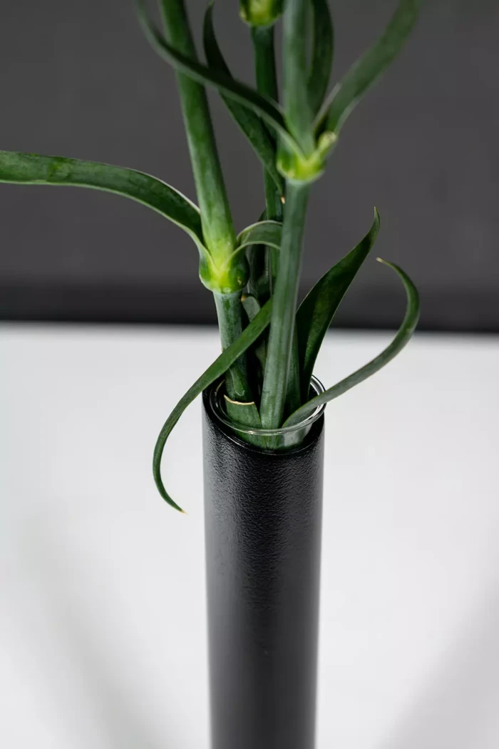 Minimalistische-Vase-Vento