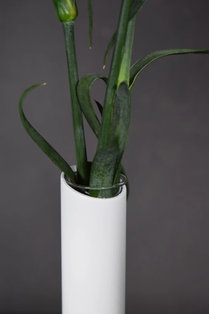 Minimalistische-Vase-Vento