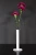 Minimalistische-Vase-Vento